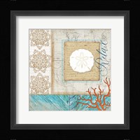 Coastal Sand Dollar Fine Art Print