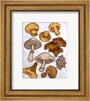 Mushroom Variation Fine Art Print