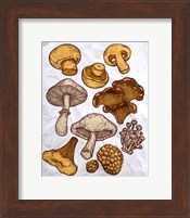 Mushroom Variation Fine Art Print