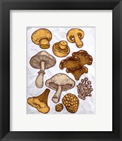 Mushroom Variation Fine Art Print