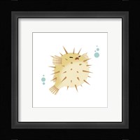 Sea Creatures - Pufferfish Framed Print