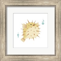 Sea Creatures - Pufferfish Fine Art Print