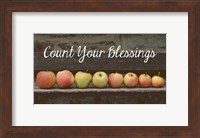 Count Your Blessings Apples Fine Art Print