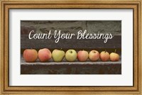 Count Your Blessings Apples Fine Art Print