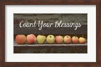 Count Your Blessings Apples Fine Art Print