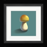 Mushroom on Teal Background Part II Framed Print
