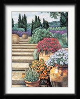 Provence Afternoon II Fine Art Print