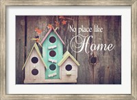 No Place Like Home Bird Houses Fine Art Print