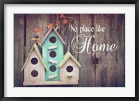 No Place Like Home Bird Houses Fine Art Print