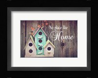 No Place Like Home Bird Houses Fine Art Print