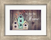 No Place Like Home Bird Houses Fine Art Print