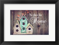 No Place Like Home Bird Houses Framed Print