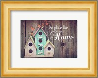 No Place Like Home Bird Houses Fine Art Print