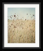 Falling Queen Annes Lace II Crop Framed Print