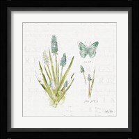 In the Forest VII Framed Print