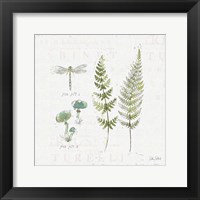 In the Forest VI Fine Art Print