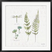 In the Forest VI Fine Art Print