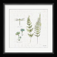 In the Forest VI Framed Print