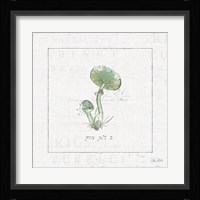 In the Forest III Framed Print