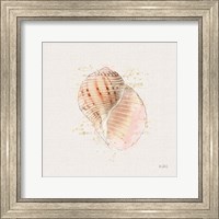 Shell Collector V Fine Art Print
