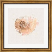 Shell Collector II Fine Art Print