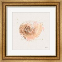 Shell Collector II Fine Art Print