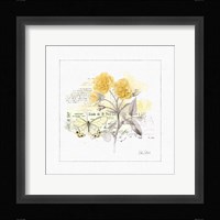 Sunny Day IV Fine Art Print