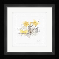 Sunny Day I Fine Art Print