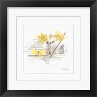 Sunny Day I Framed Print