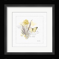 Sunny Day III Framed Print