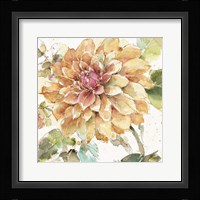 Country Bloom V Framed Print