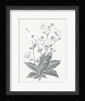 Neutral Botanical VI Framed Print