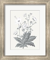 Neutral Botanical VI Fine Art Print