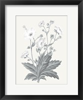 Neutral Botanical VI Framed Print