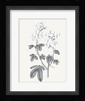 Neutral Botanical III Framed Print