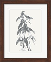 Neutral Botanical I Fine Art Print