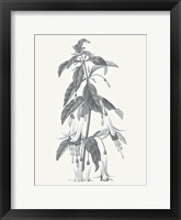 Neutral Botanical I Framed Print