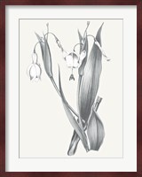 Neutral Botanical II Fine Art Print