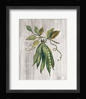 Market Vegetables II Fine Art Print