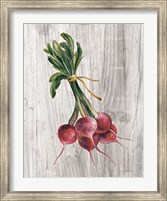 Market Vegetables III Fine Art Print