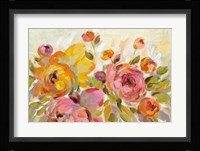 Brushy Peonies Framed Print