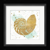 Silver Sea Life Aqua Shell Framed Print