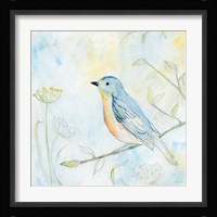 Sketched Songbird II Fine Art Print