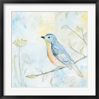 Sketched Songbird II Fine Art Print