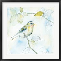 Sketched Songbird I Fine Art Print