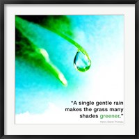 A Single Gentle Rain - Henry Thoreau Quote (Droplet) Fine Art Print
