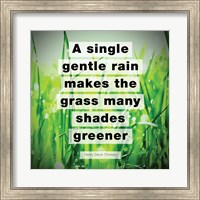 A Single Gentle Rain - Henry Thoreau Quote (Vibrant) Fine Art Print
