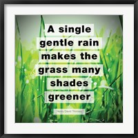 A Single Gentle Rain - Henry Thoreau Quote (Vibrant) Fine Art Print