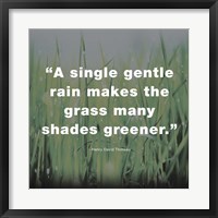 A Single Gentle Rain - Henry Thoreau Quote (Dark) Fine Art Print
