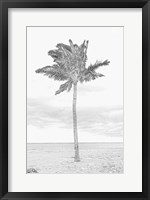 Swaying Palm I Fine Art Print